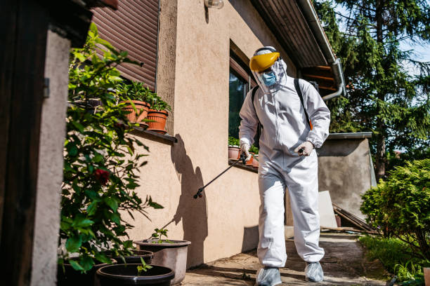 Best Affordable Pest Control Services  in Big Pine, CA