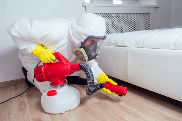Best Pest Control for Restaurants  in Big Pine, CA