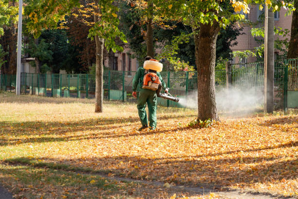 Best Commercial Pest Control Services  in Big Pine, CA